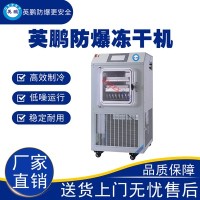 上海医疗防爆电加热真空冻干机