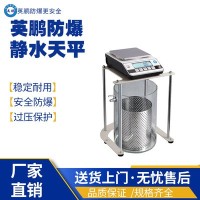 安徽工业防爆静水天平EXBZ-900JS/0.1