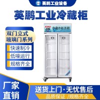 湖南运输用英鹏工业冷藏柜LC-400L