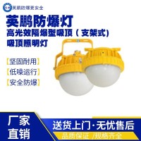 海南工业防爆吸顶照明灯EX-DJ95CS-20W