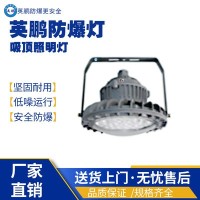 上海工业防爆吸顶照明灯EX-DJ95X-50W