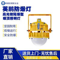 南宁工业高光效隔爆型EX-DJ95C-50W